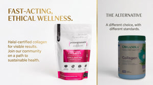 Halal Collagen vs Organika: Which Fits Best?