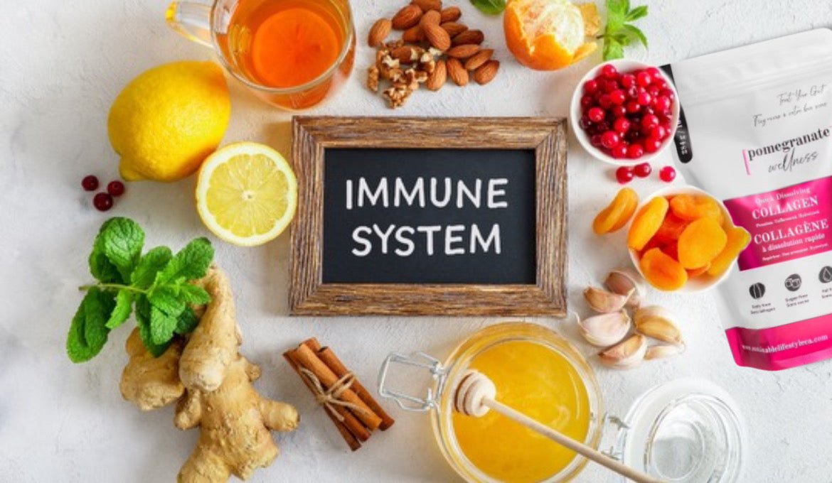 Collagen and Immune System Support: What You Should Know