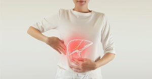 Collagen and Liver Health: Supporting the Body’s Natural Functions