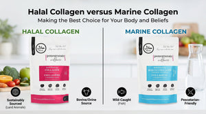 Halal Collagen vs Marine Collagen
