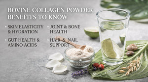 9 Bovine Collagen Powder Benefits to Know
