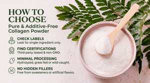 How to Choose Additive Free Collagen Powder