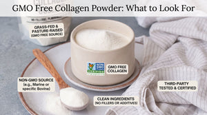 GMO Free Collagen Powder: What to Look For