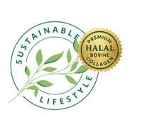 Sustainable Lifestyle