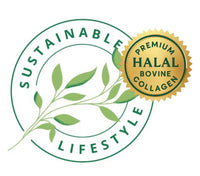Sustainable Lifestyle