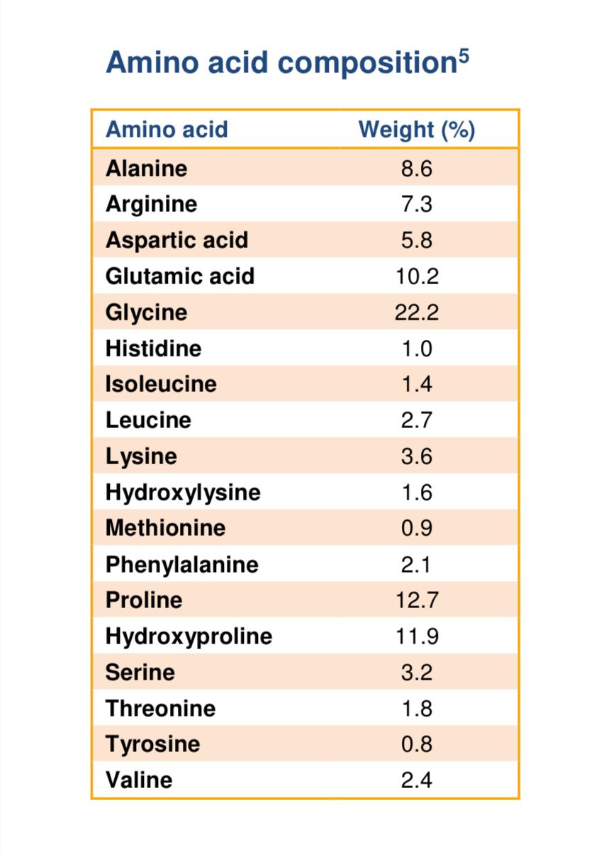 Halal Collagen Variety Pack – 16oz (454g) + 10oz (284g) Pouches & 20 x 10g Sachets
