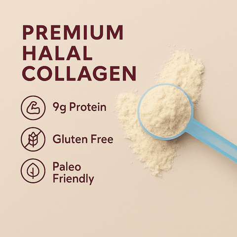 Hybrid Lifestyle Kit – 16oz (454g) Pouch + 20 x 10g Sachets - Sustainable Lifestyle